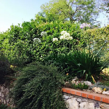 Il Montetto3 -giardino Privato -parcheggio Privato- Vicino A Lerici Penzion Arcola