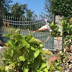 Il Montetto3 -giardino Privato -parcheggio Privato- Vicino A Lerici 게스트하우스 아르콜라