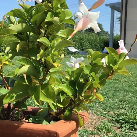 Il Montetto3 -giardino Privato -parcheggio Privato- Vicino A Lerici 3* Arcola