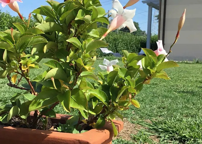 Il Montetto3 -giardino Privato -parcheggio Privato- Vicino A Lerici 3* 阿尔科拉